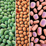 **Protein Expression Host Options:** A vibrant biotechnological scene showcasing diverse hosts like *E. coli* bacteria, budding yeast, and mammalian CHO cells. Each host is distinctly presented with associated lab equipment representing the complexity and cost differences.